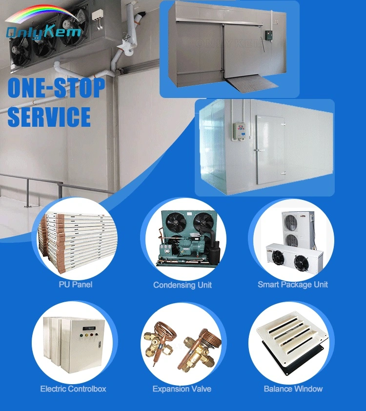 Walk in Cooler Cold Room Evaporator Refrigeration Equipment