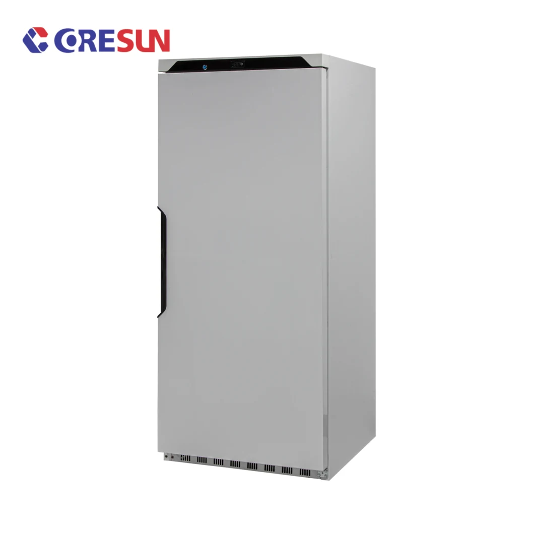 Commercial Freezer, Upright Freezer CF40 Refrigeration Equipment