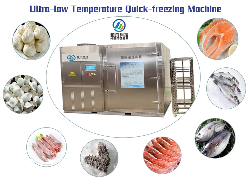 Flash Freezer Cold Room Refrigeration Equipment